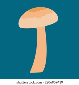 mushroom on a blue background