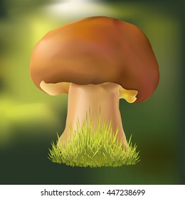 Mushroom on a green background. Vector illustration.