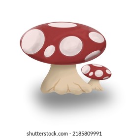 mushroom on the white background