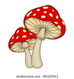 Mushroom on a white background