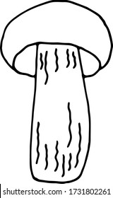 champiñones en un fondo blanco. Ilustración aislada de vectores con una verdura. Producto útil. Vegetarismo. Un elemento separado con champiñón. Estilo Doodle. Impresión en papel, tela, utensilios, pos