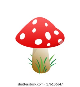 Mushroom on white background, vector illustration