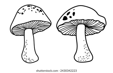 Mushroom outline icon vector illustration. Hand drawn line Art