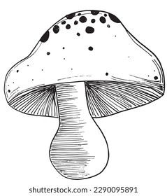 Mushroom outline illustration vector image. 
Hand drawn mushroom sketch image artwork. 
Simple original logo of mushroom icon from pen drawing sketch.