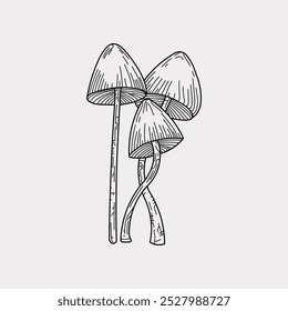 Mushroom outline sketch artwork handmade illustration