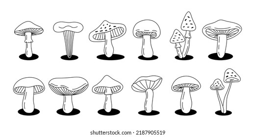 Mushroom outline sketch set. Poisonous and edible mushrooms line banner. Different mushrooms symbols. Chanterelle, amanita muscaria, truffle, morels.