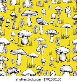 Mushroom pattern. Handmade graphics. Background for children and adults. Edible mushrooms and toadstools. Healthy food illustration. Autumn forest plants, mushroom. sketches for textiles, wallpaper.