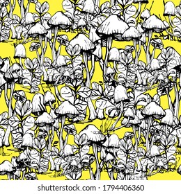 Mushroom pattern. Handmade graphics. Background for children and adults. Edible mushrooms and toadstools. Healthy food illustration. Autumn forest plants, mushroom. sketches for textiles, wallpaper.
