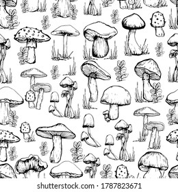 Mushroom pattern. Handmade graphics. Coloring book for children. Edible mushrooms and toadstools. Healthy food illustration. Autumn forest plants sketches for textiles, wallpaper, coloring, packaging