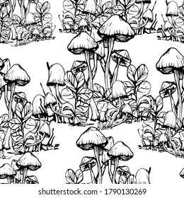 Mushroom pattern. Handmade graphics. Coloring book for children. Edible mushrooms and toadstools. Healthy food illustration. Autumn forest plants sketches for textiles, wallpaper, coloring, packaging
