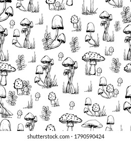 Mushroom pattern. Handmade graphics. Coloring book for children. Edible mushrooms and toadstools. Healthy food illustration. Autumn forest plants sketches for textiles, wallpaper, coloring, packaging