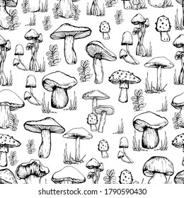 Mushroom pattern. Handmade graphics. Coloring book for children. Edible mushrooms and toadstools. Healthy food illustration. Autumn forest plants sketches for textiles, wallpaper, coloring, packaging