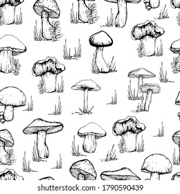 Mushroom pattern. Handmade graphics. Coloring book for children. Edible mushrooms and toadstools. Healthy food illustration. Autumn forest plants sketches for textiles, wallpaper, coloring, packaging