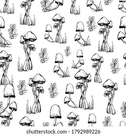 Mushroom pattern. Handmade graphics. Coloring book for children. Edible mushrooms and toadstools. Healthy food illustration. Autumn forest plants sketches for textiles, wallpaper, coloring, packaging