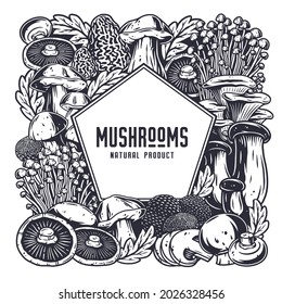 Mushroom picking of morel. Vegetarian fungus boletus or cremini collection for food. Organic nature mushrooms or fungi porcini for healthy nutrition