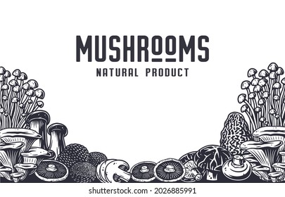 Mushroom picking of morel. Vegetarian fungus boletus or cremini collection for food. Organic nature mushrooms or fungi porcini for healthy nutrition