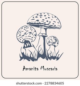 Mushroom picture cards , vector art colection.