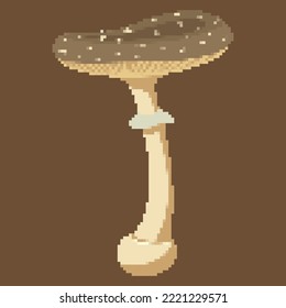 Mushroom Pixel Art 64bit Retro