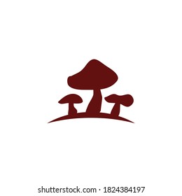 Mushroom plant logo design vector template