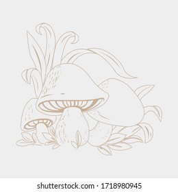 Mushroom Plant Nature Drawing Vector