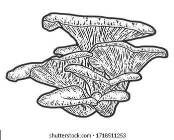 Mushroom plants. Sketch scratch board imitation. Black and white. Engraving vector illustration.
