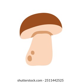 Mushroom porcini. Fungus icon, autumn forest food. Boletus fungi, natural organic food. Edible fresh healthy fall plant. Flat graphic vector illustration isolated on white background