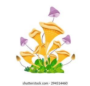 mushroom porcini with grass on white