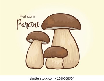 mushroom porcini vector design