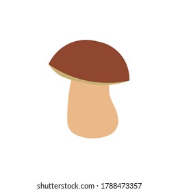 Mushroom porcini. Vector flat Isolated on white background.