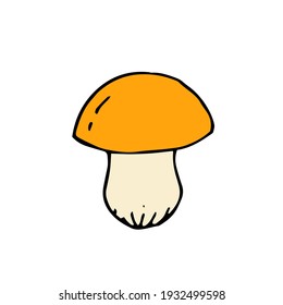 Mushroom. Porcini. Vector hand drawn doodle illustration.