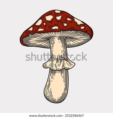 Mushroom red artwork handmade colored illustration