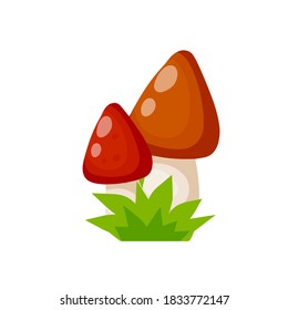 Mushroom with a red cap. Natural natural product. Vegetation element of the forest. Flat cartoon illustration