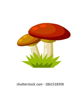 Mushroom with a red cap. Natural natural product. Vegetation element of the forest with green grass. Flat cartoon illustration