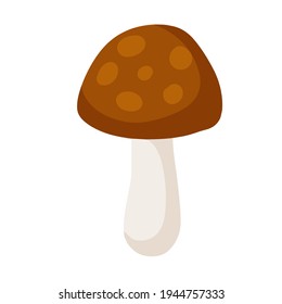 Mushroom with a red cap. Natural natural product. Vegetation element of the forest. Flat cartoon illustration
