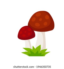 Mushroom with a red cap. Natural natural product. Vegetation element of the forest. Flat cartoon illustration