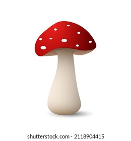 Mushroom with red cap and white dots fly agaric. Poisonous plant with colorful hat with psychedelic and healing vector effect.
