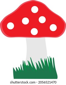 Mushroom with a red cap in a white specks in the grass 