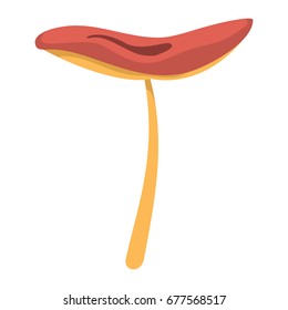 Mushroom with red hat on white background element for mushroom design