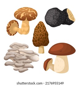 mushroom retro set cartoon vector. groovy magic forest food, hippie fungus, autumn mushroom retro. isolated color illustration