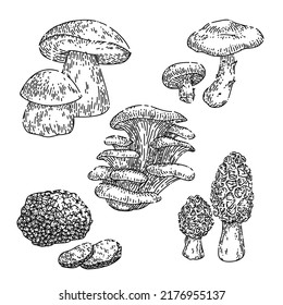mushroom retro set hand drawn vector. groovy magic forest food, hippie fungus, autumn mushroom retro sketch. isolated black illustration
