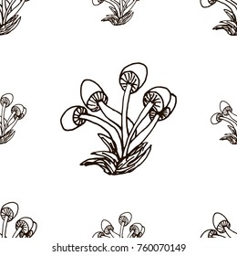 Mushroom seamless pattern in hand drawn style. For print, packaging and creative design. Engraved sketch vector illustration. 