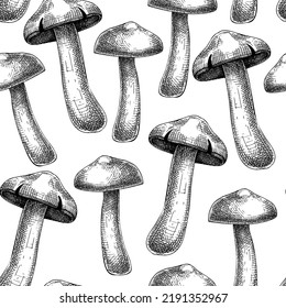Mushroom seamless pattern. Sketched illustration. Hand-drawn food drawings. Forest plant sketches. Perfect for recipe, menu, label, icon, packaging, Vintage mushroom black outlines. 