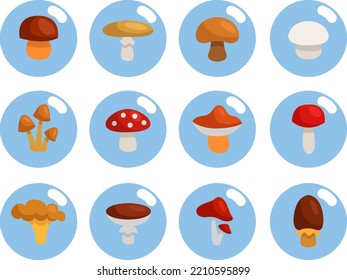 Mushroom season, illustration, vector on white background.