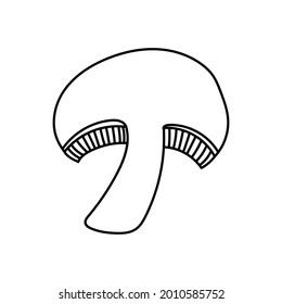 Mushroom en la sección contorno icono de doodle. Comida vegetariana saludable. Campeón. Ilustración de boceto vectorial para icono, web, móvil, infografía, logotipo, impresión, icono, tarjeta, emblema, etiqueta, menú de comida