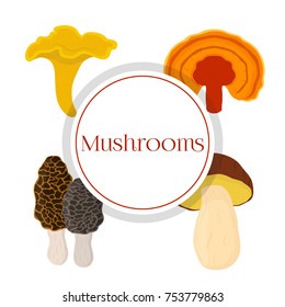 Mushroom set - bolete, reishi, chanterelle, morel. Made in cartoon flat style. Vector illustration