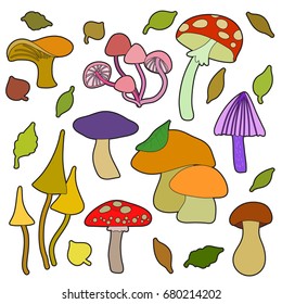 Mushroom set in cartoon style with outline. Clip art collection on white background.