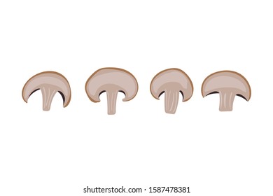 Mushroom set. Champignon vector illustration. Vegetarian food.