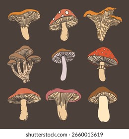 Conjunto de setas. Colección de setas dibujadas a mano con fines educativos o decorativos. Ilustración.