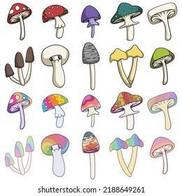 Mushroom set collection vector illustration for your company or brand