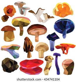 Mushroom set colorful low poly designs isolated on white background. Vector edible food illustration. Collection of fungus in a modern style.